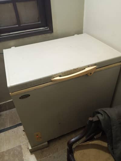 1 Door Freezer