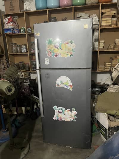 DAEVO freezers