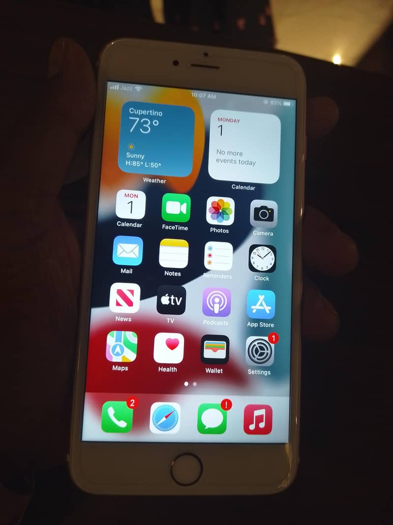 Apple iPhone 6 Plus 1
