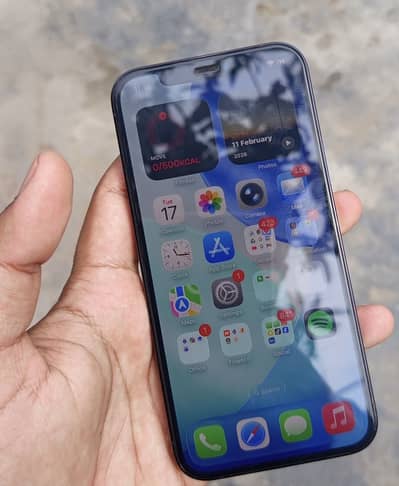 iPhone 12 Pro JV