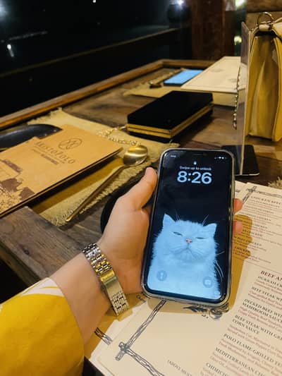 Apple iPhone 13 Pro