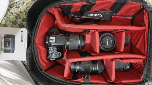 Canon 250D + 18-55mm + 55-250mm + 50mm