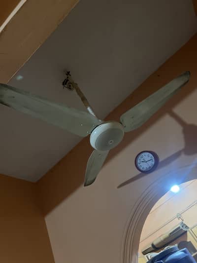 Ceiling fans double