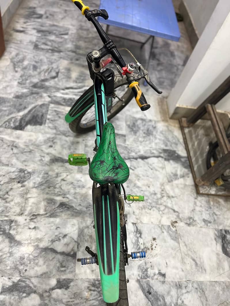 Cycle 1