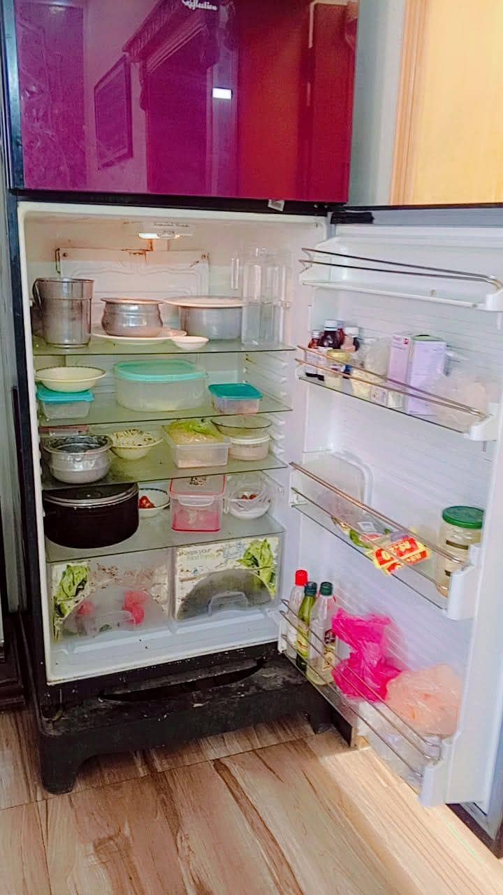 extra large fridge 1