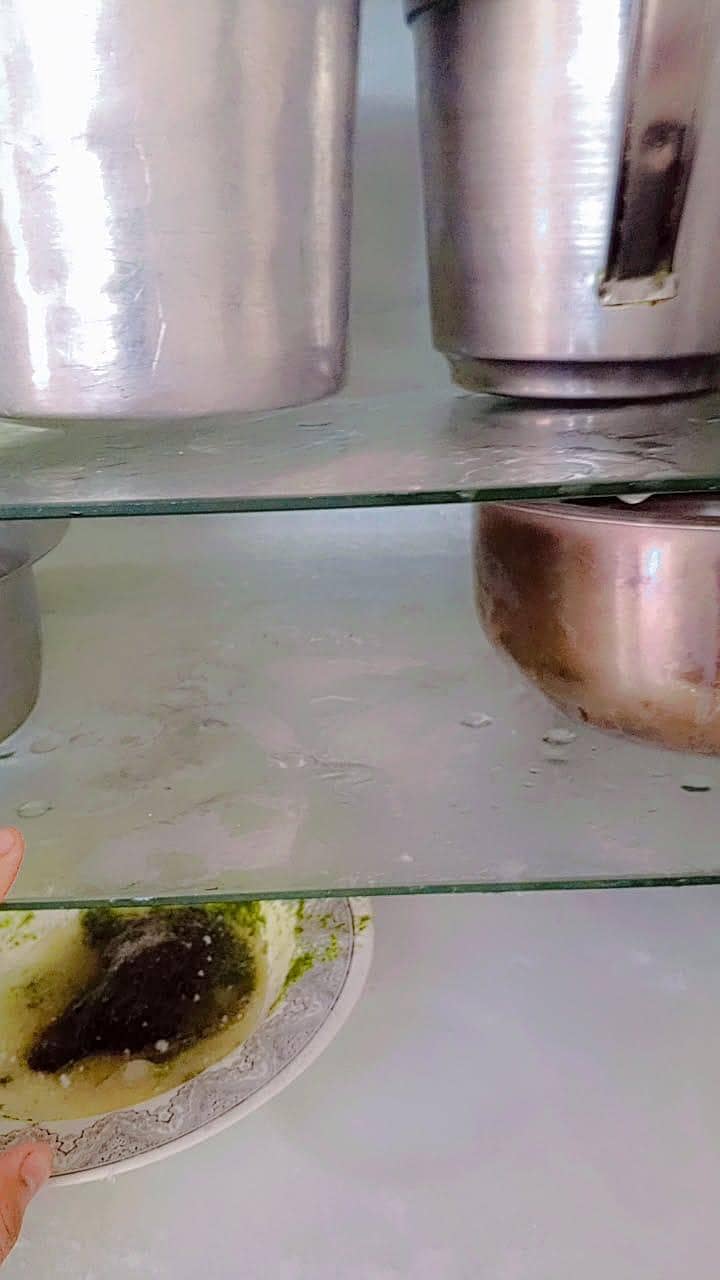 extra large fridge 3
