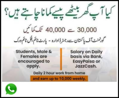 Online Work From Home Job