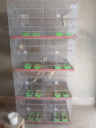 Bird Cages Available for Sale