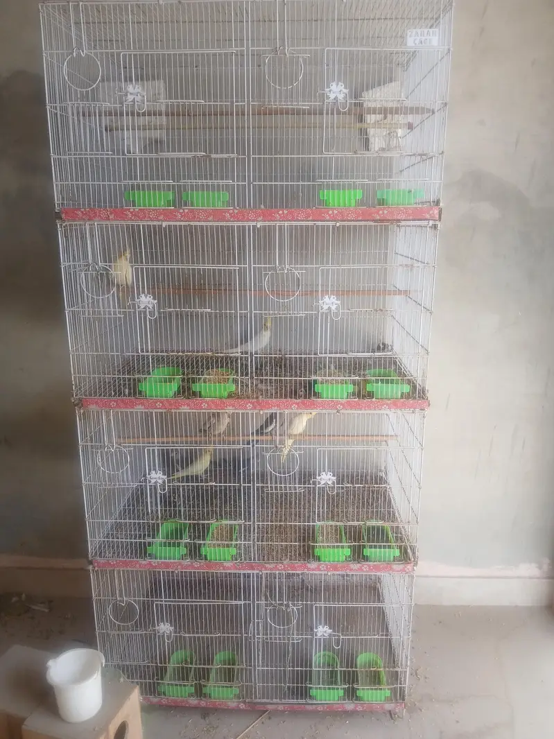 Bird Cages Available for Sale