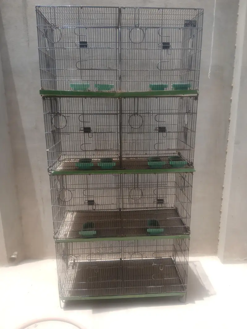 Bird Cages Available for Sale — photo 2