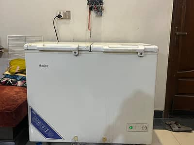 Haier Freezer