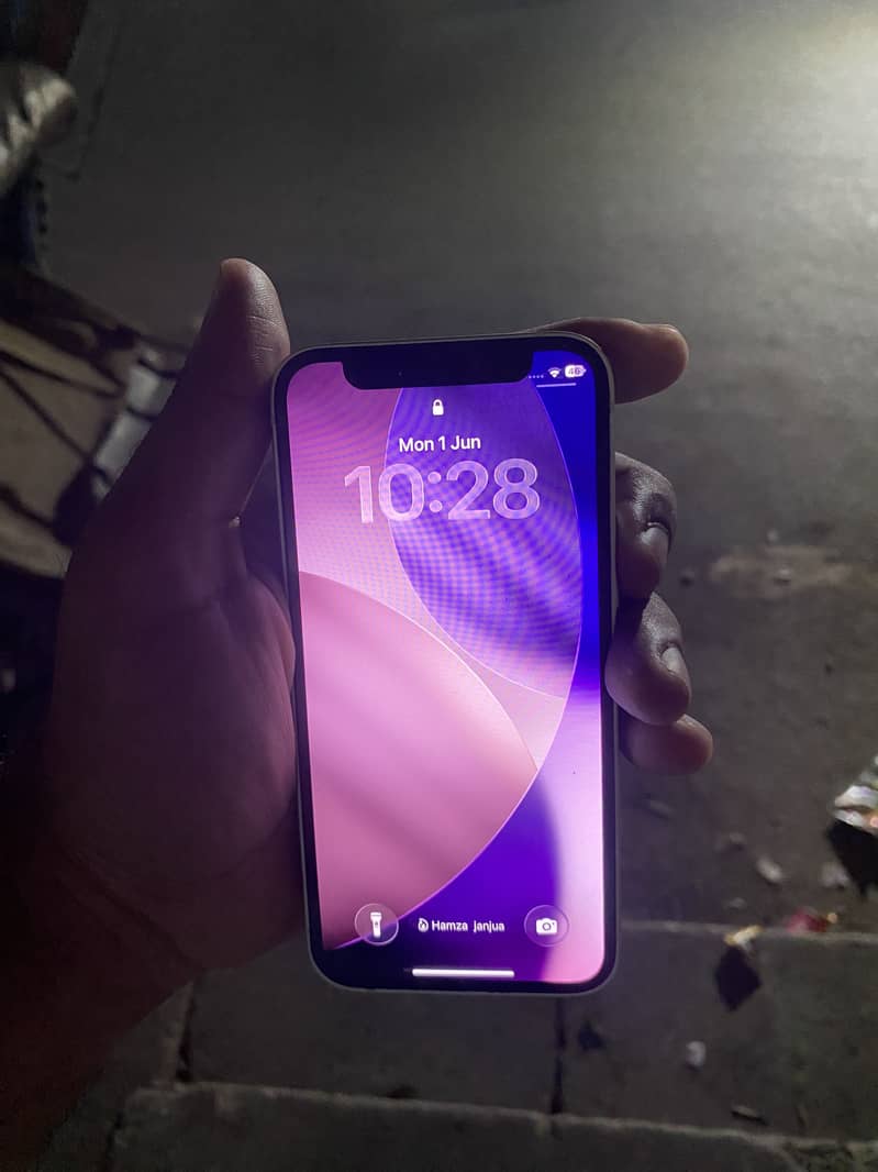 Apple iPhone 12 mini 1