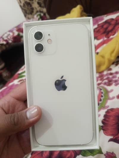 Apple iPhone 12 factory