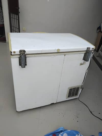 Deep freezer Medium sized
