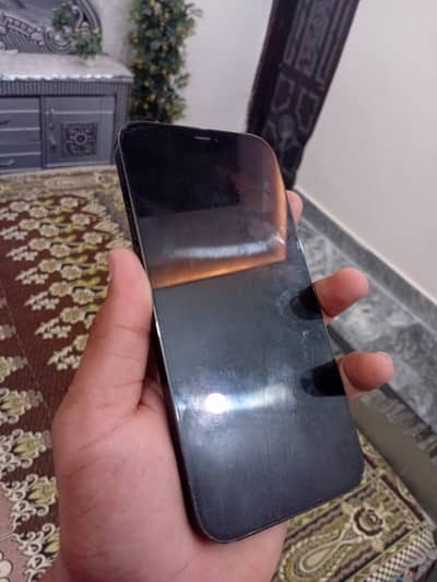 Apple iPhone 12 Pro Max
