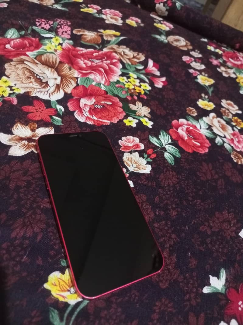Iphone 12 1