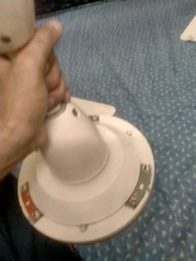 selling fan