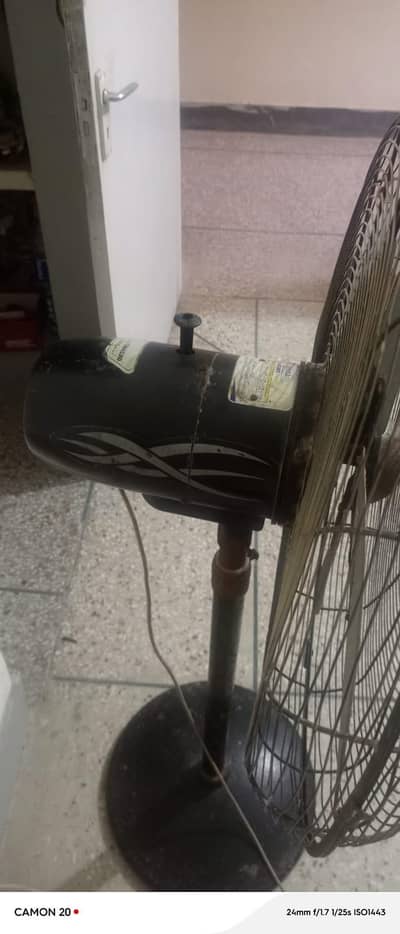 pedestal fan