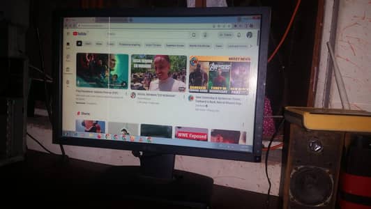 Dell LCD Monitor 19in
