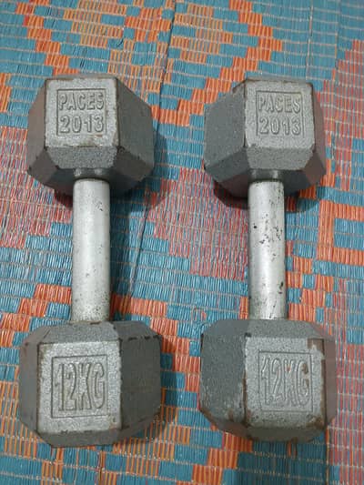 12 kg stainless steel dumbles