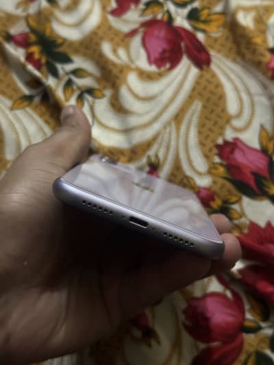 Apple iPhone 11 jv