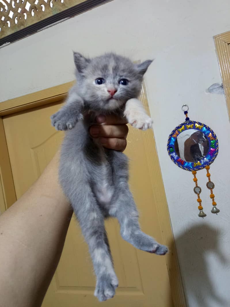 very active 1