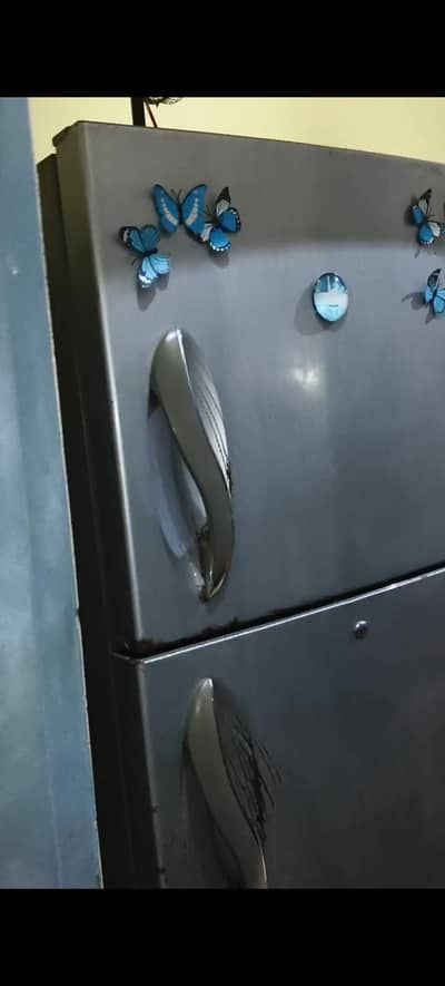 Freezer