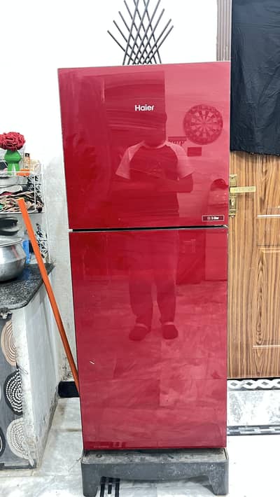 Haier Fridge Lush Condition 10/10