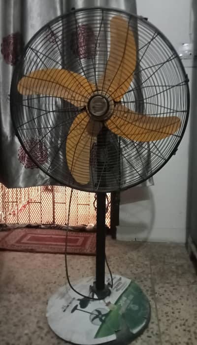 Pedestal Fan AC/DC
