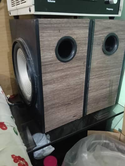 10 inch woofer speaker pair