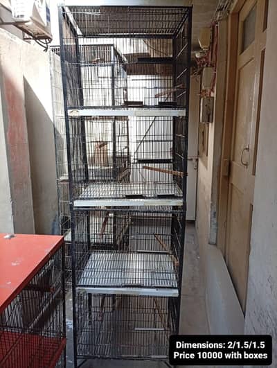 Love Birds Cage