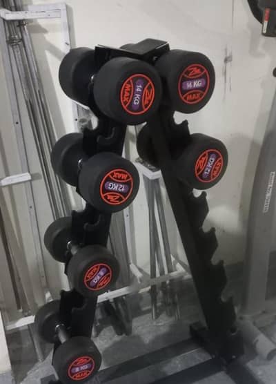 High and premium quality Dumbbells Rack