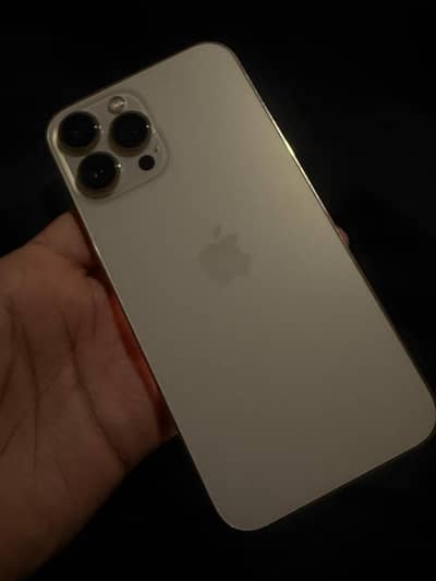 IPhone 13 Pro Max pta approved