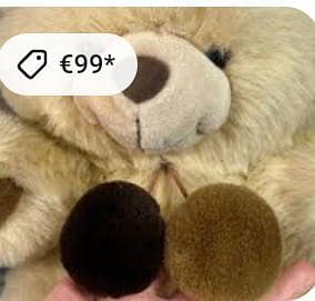 Teddy Bear imported