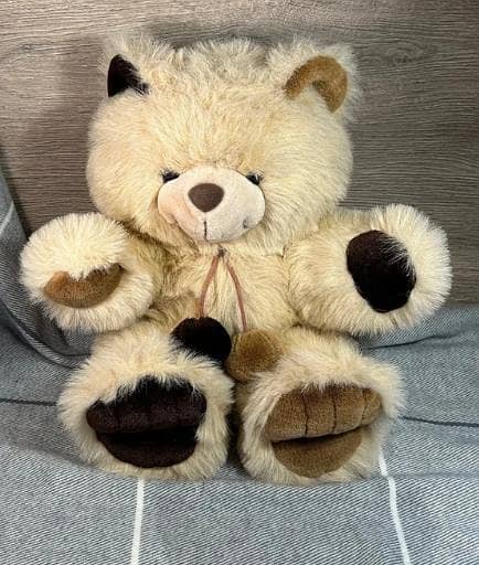 Teddy Bear imported 1