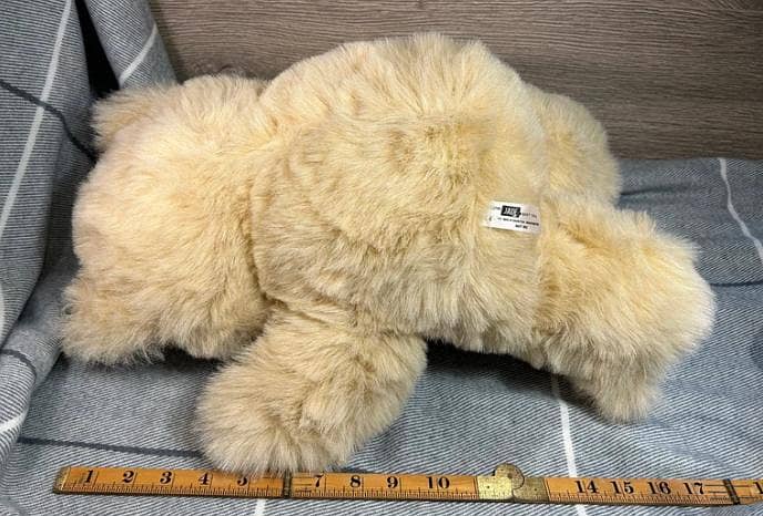 Teddy Bear imported 3