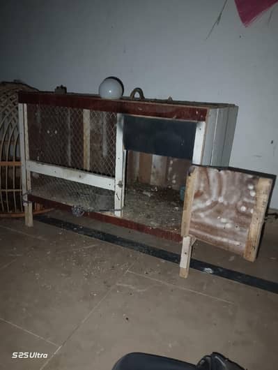 Bird and Hen Cage