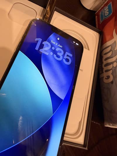 Apple iPhone 13 Pro Max