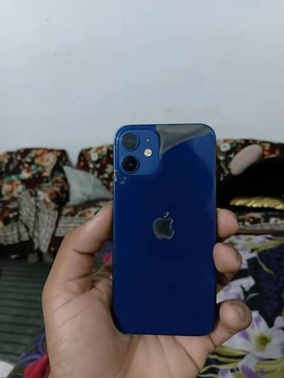 iPhone 12 mini water pack.