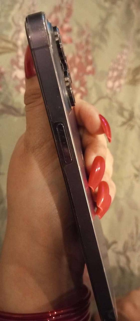 Apple iPhone 14 Pro Max 1