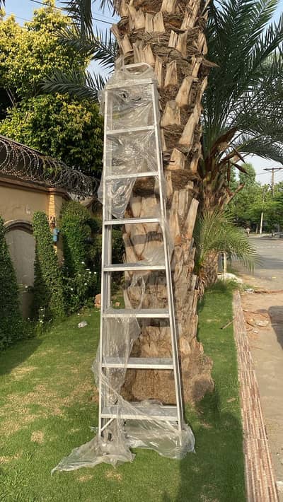 Foldable Ladder 3/4/5/6/7/8/10/12/14/16