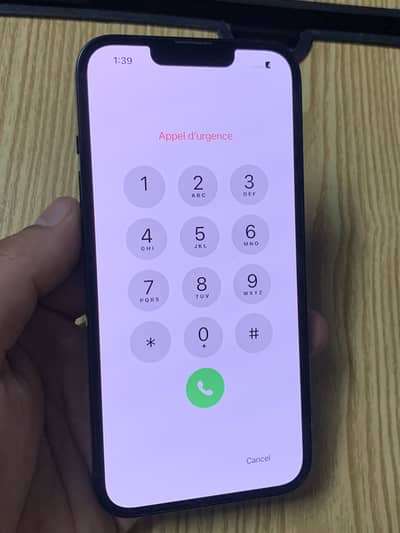 Apple iPhone 13
