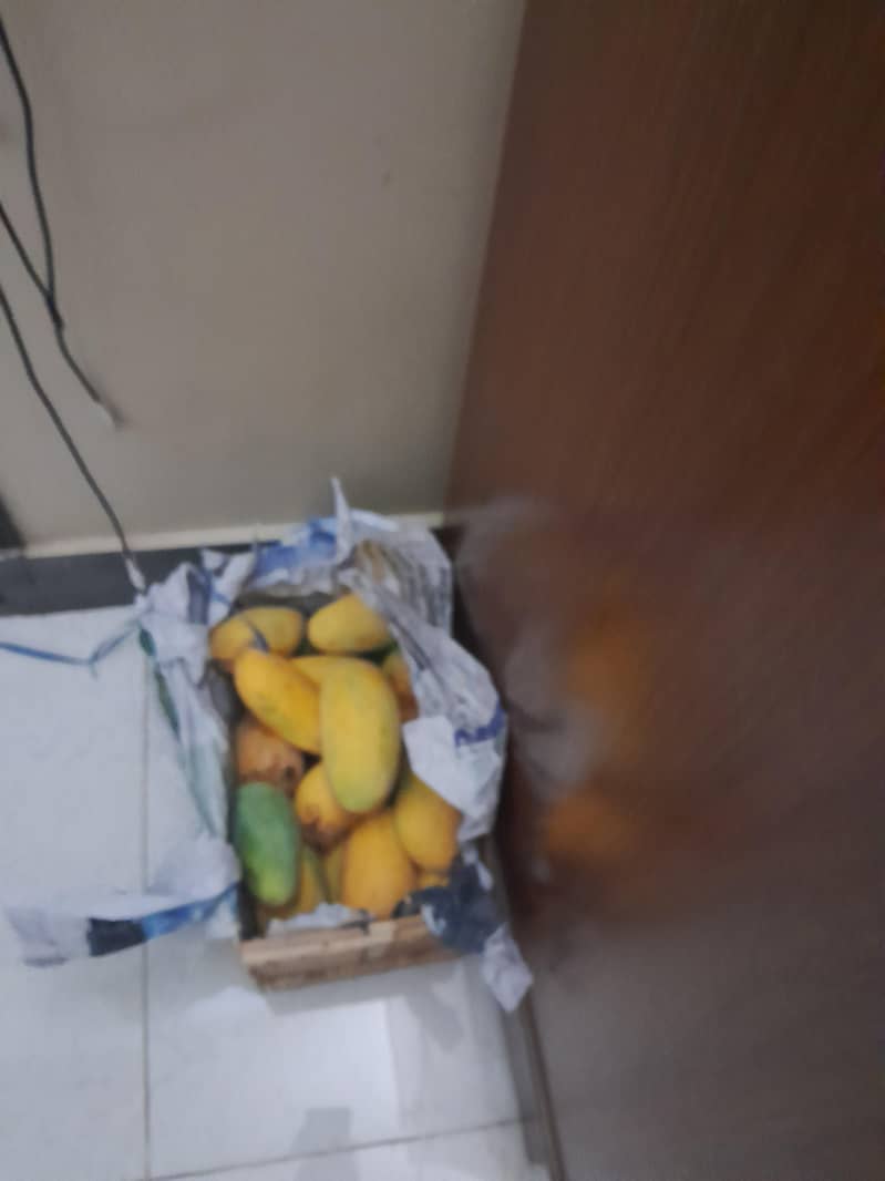 mango  1