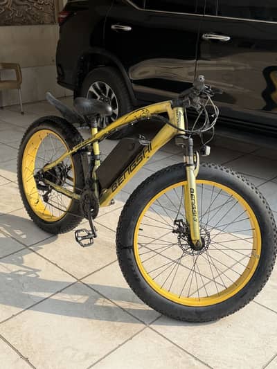 Imported Fat Tyre Electric Bicycle E-Bike Fat Bike