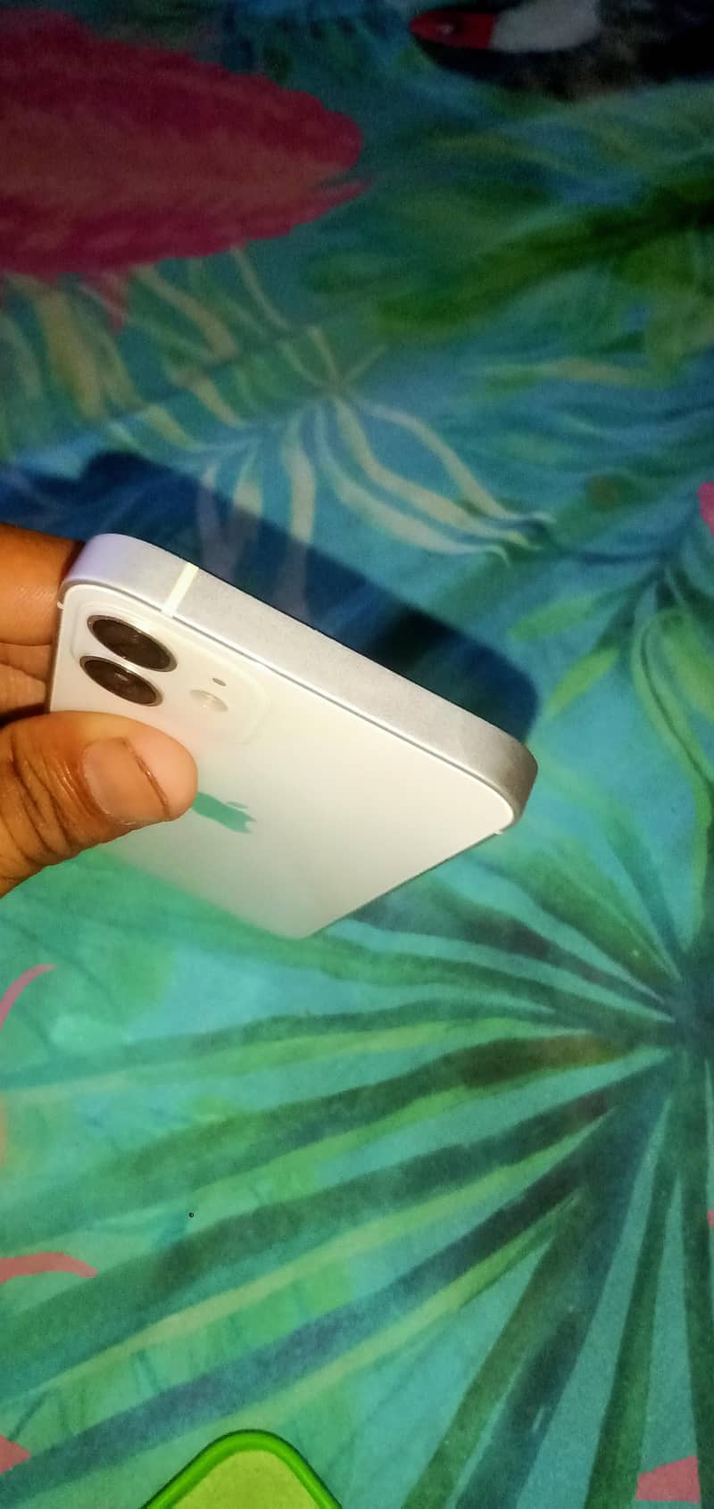 Apple iPhone 12 mini 1
