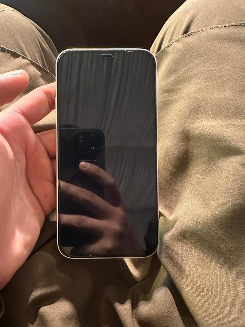 Apple iPhone 12 1