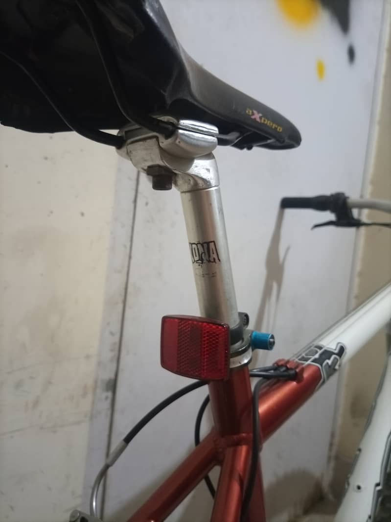 Bicycle 10