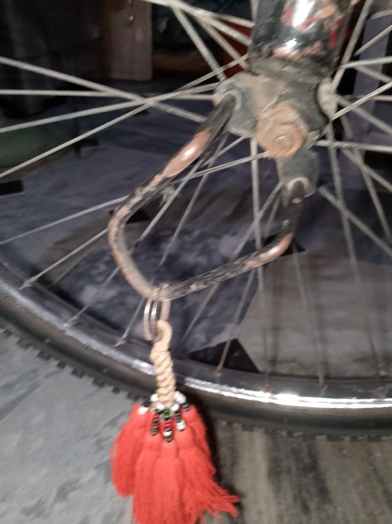 bicycles 6