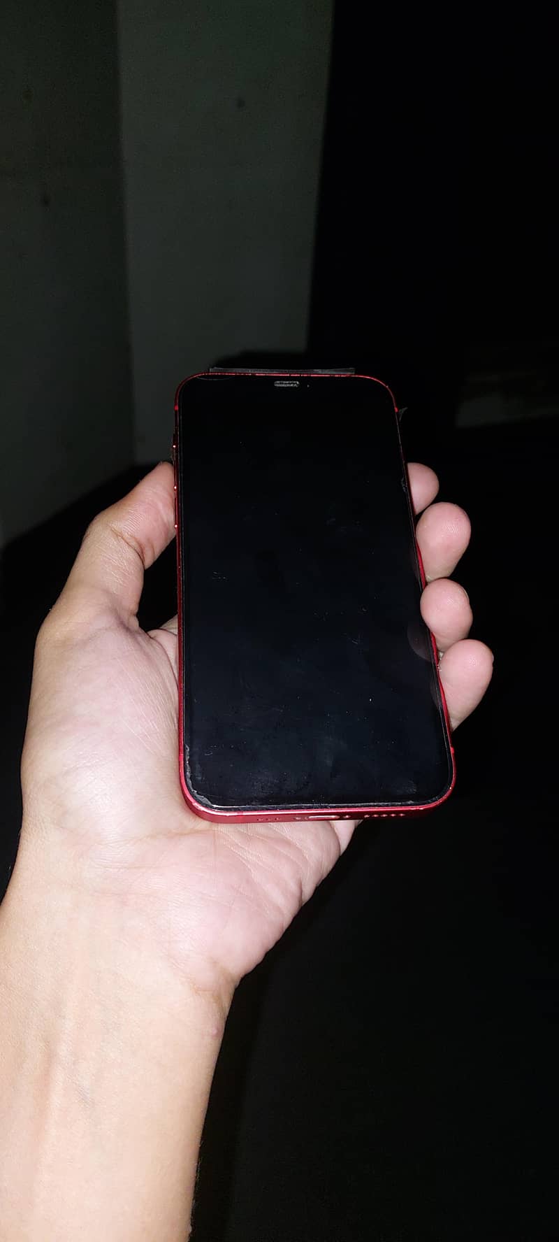 Apple iPhone 12 0