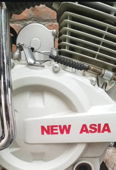 New Asia loader Number lga